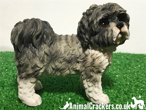 Grey shih tzu - shih, ornament