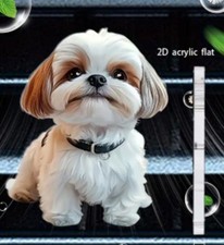 Shih Tzu Fragrance Air