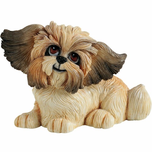 Little paws shih tzu gizmo - little,