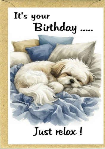 Shih tzu dog birthday - shih,