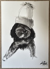 Portrait of a Shih Tzu Dog