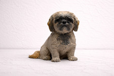 Custom Shih Tzu Style Dog