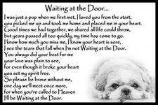 Shih Tzu Pet Dog Memorial