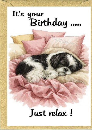 Shih tzu dog birthday card - shih,