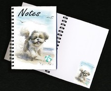 Shih Tzu Dog (Cream)