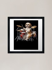 Shih Tzu Playing Drum Kit