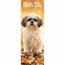 Shih Tzu Slim Calendar 2026 -