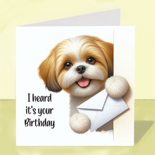 Shih Tzu Dog Birthday