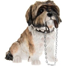 Walkies Shih Tzu Sitting