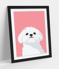 WHITE SHIH TZU DOG ON PINK