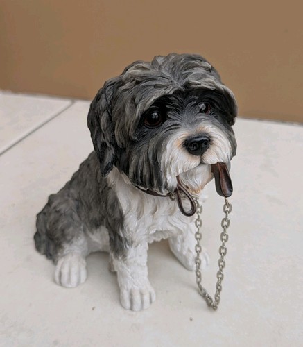 Leonardo collection shih tzu - leonardo,