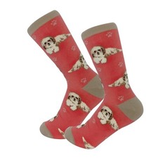 Shih Tzu Socks Gift/Present