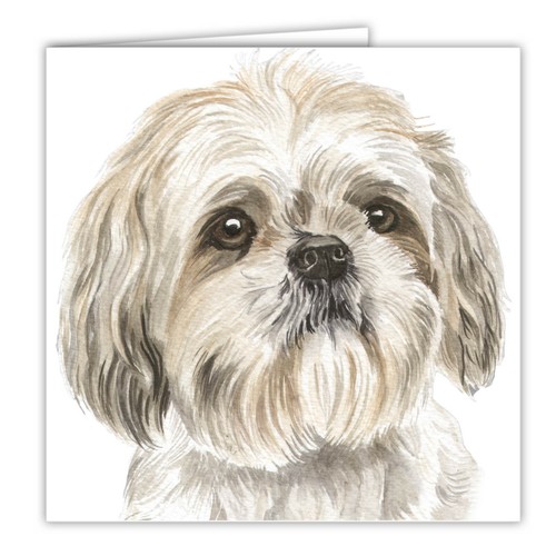 Shih tzu greetings card - shih,