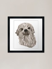 Shih Tzu Framed Art Print