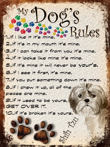 Dog rules retro style - retro,