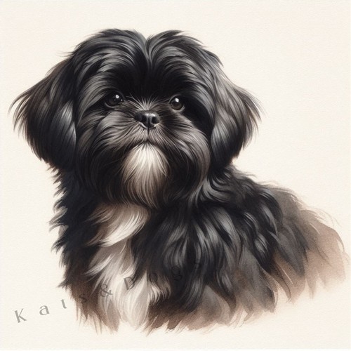 Black shih tzu watercolour - black,