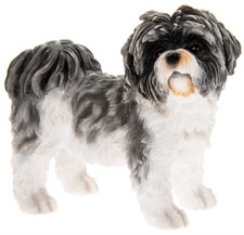 Grey & White SHIH TZU Dog