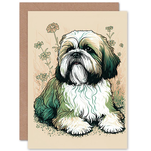 Shih tzu dog - shih,