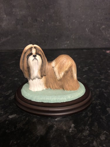Shih tzu best - of, breed