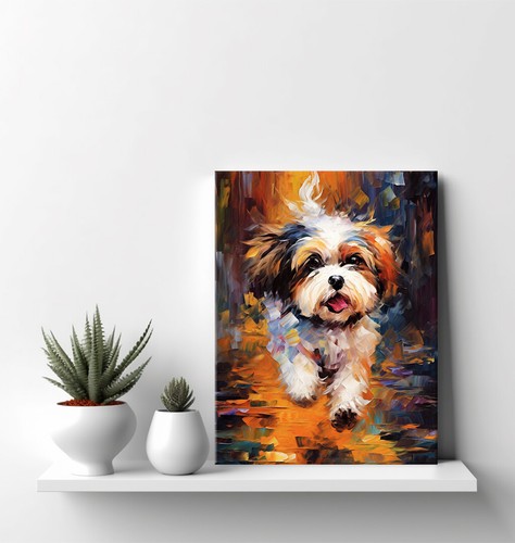 Shih tzu dog colourful - tzu, animal