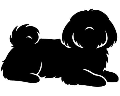 Shih tzu dog - tzu,