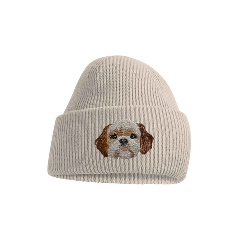 Gold white shih tzu - white, dog